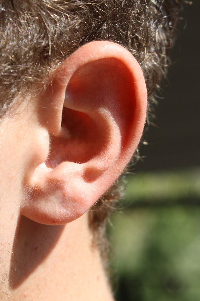 How Will I Know If My Child Has an Ear Infection?