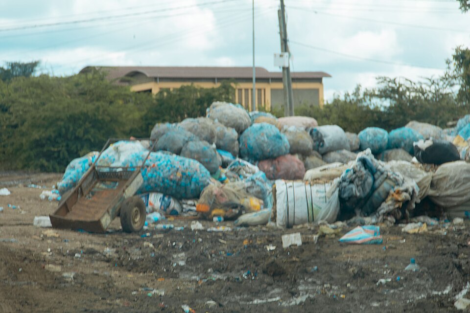 The Health Dangers of Public Domestic Waste in Lagos And How to Stay Safe